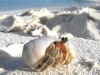 19251-desktop-wallpapers-on-the-beach