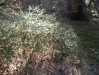 dscn4784